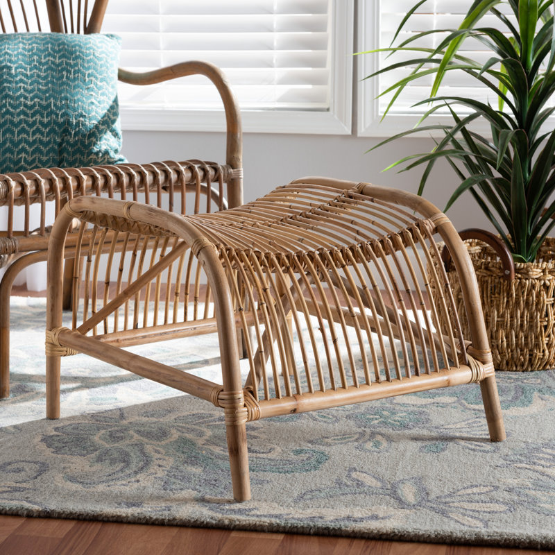 Bagryana 23.6" Wide Rattan Specialty Footstool Ottoman