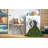 Indoor Rug-784025431