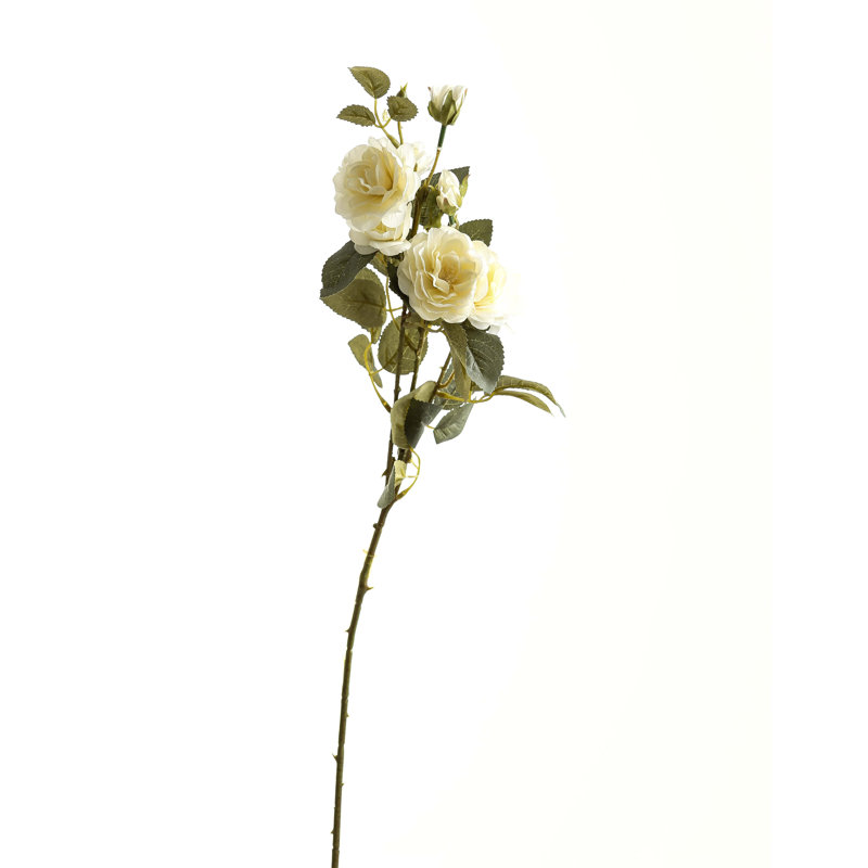 Arrangement