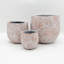 Aarin Concrete Pot Planter
