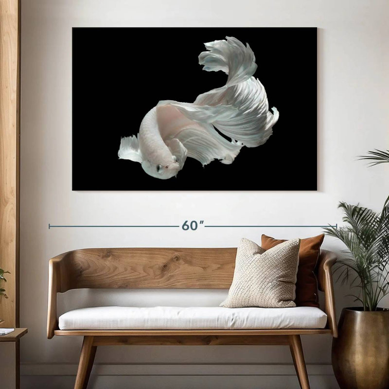 Brampt White Betta Fish, 34" H x 51" W