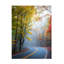 Art mural sur toile tendue - art mural Jared Kreiss «Scenic Fall Drive» pour le salon, la chambre à coucher ou le bureau - 14 x 19