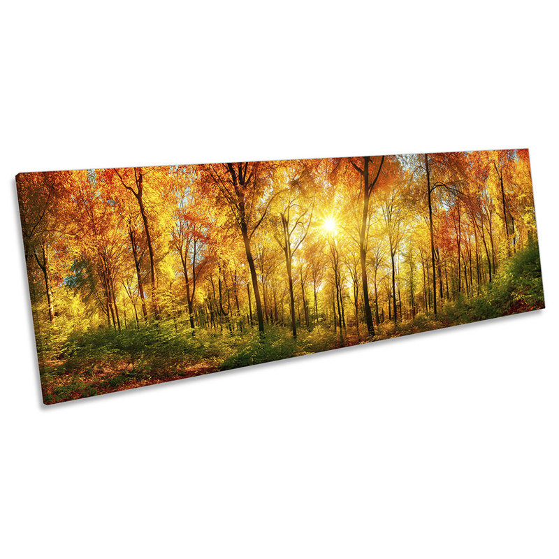 Forest Sunset Trees Panoramic - Wrapped Canvas Print, 45.72cm H x 137.16cm W x 2cm D