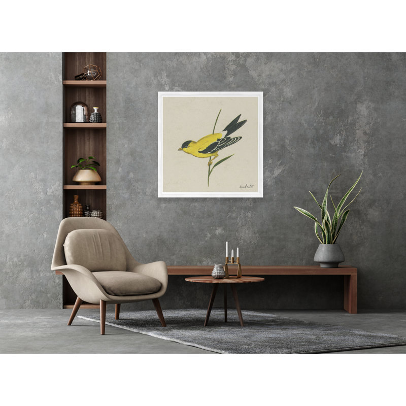 Moulton Collection " Goldfinch ", White