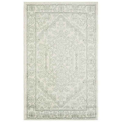 Oriental Area Rug