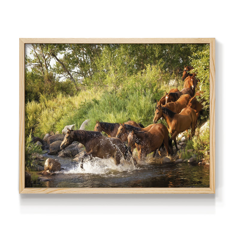 Sunlit Horses IV -Framed Print - Restickable, Naturel, H 11 po x l 14 po