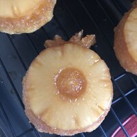 Nordic Ware Pineapple Upside Down Cakelet Pan – CreativeKitchen