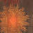 Amier Soho Hand Tufted Wool And Viscose Rug-1978991655