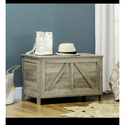 Armoire de rangement 30 po Delmita