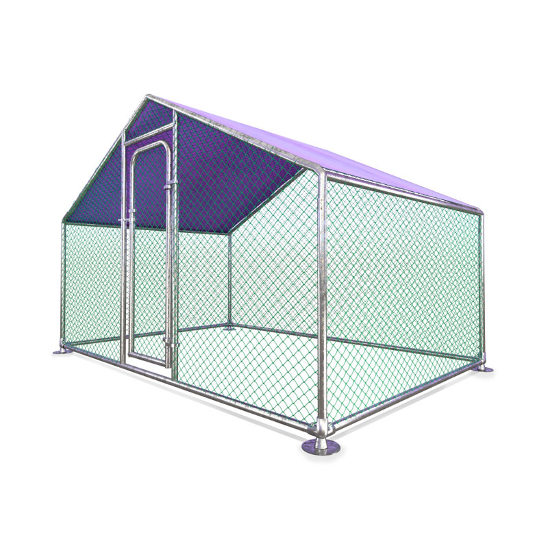 Galvanized Metal Walk-In Chicken Coop with Purple Waterproof Cover