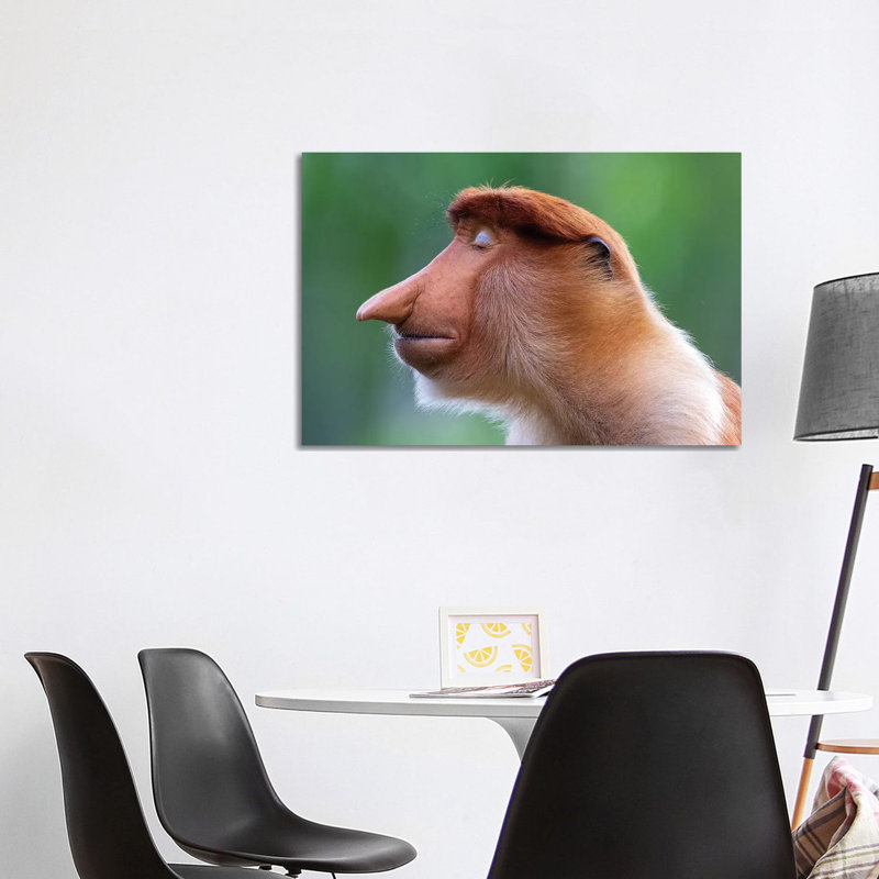 Proboscis Monkey The Inner World by Mogens Trolle - Wrapped Canvas Print, 101.6 cm H x 66.04 cm W x 1.91 cm D