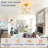 15.8" Modern Crystal Gold Ceiling Fan with Dimmable Light, 3 Speeds, Reverse and Remote Included-197501511