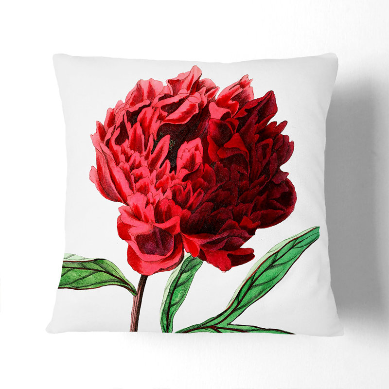 Square Cushion, 55cm H x 55cm W x 20cm D