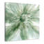 Macro sauge I - impression-60894771-60894772
