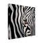 «Zebra Face» par Cherie Roe Dirksen - reproduction sur toile-32712182