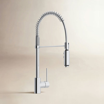 AllModern Jamar Pull Down Kitchen Faucet