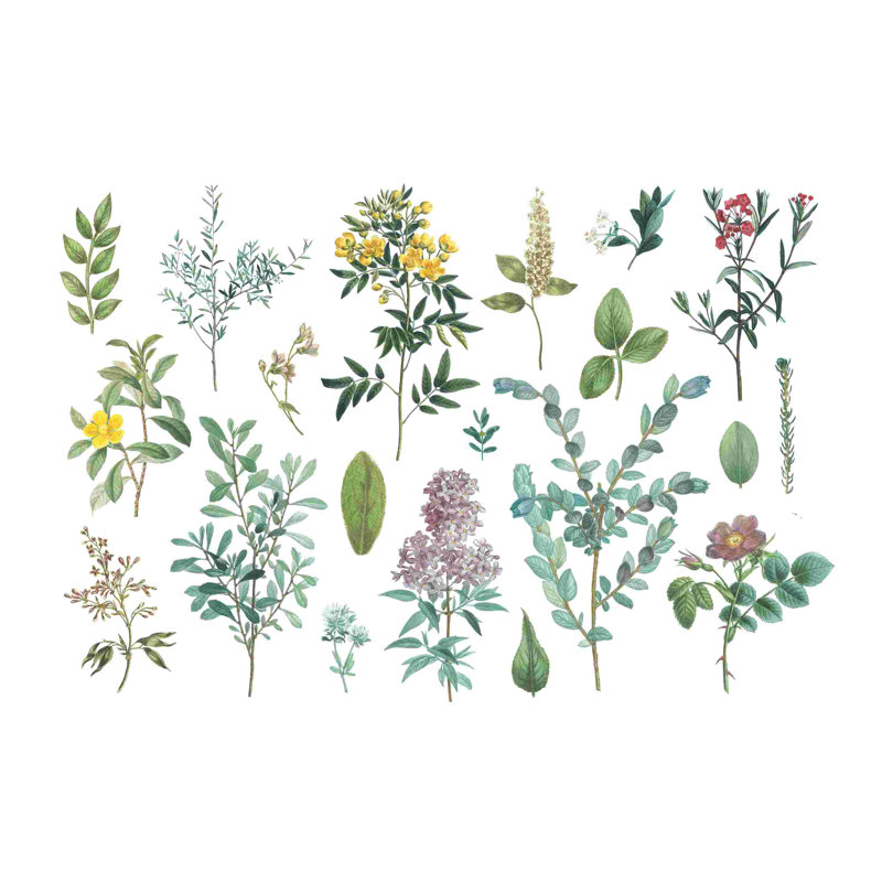 Victorian Garden Bright IV, H 20 po x l 30 po
