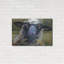 «Bless Ewe» par CR Townsend-386235168