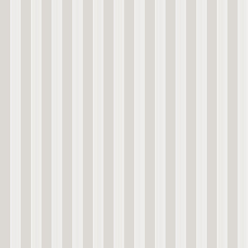 Nerijus Little Explorers 2 Vertical Ribbon Wallpaper Roll, Silver