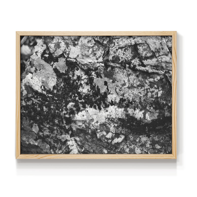 Found Textures XX -Framed Print - Restickable, Natural, 11" H x 14" W