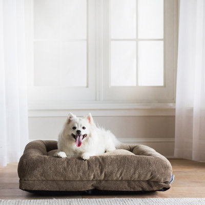 La-Z-Boy Rosie 36X28 Lounger Dog Bed, Cream