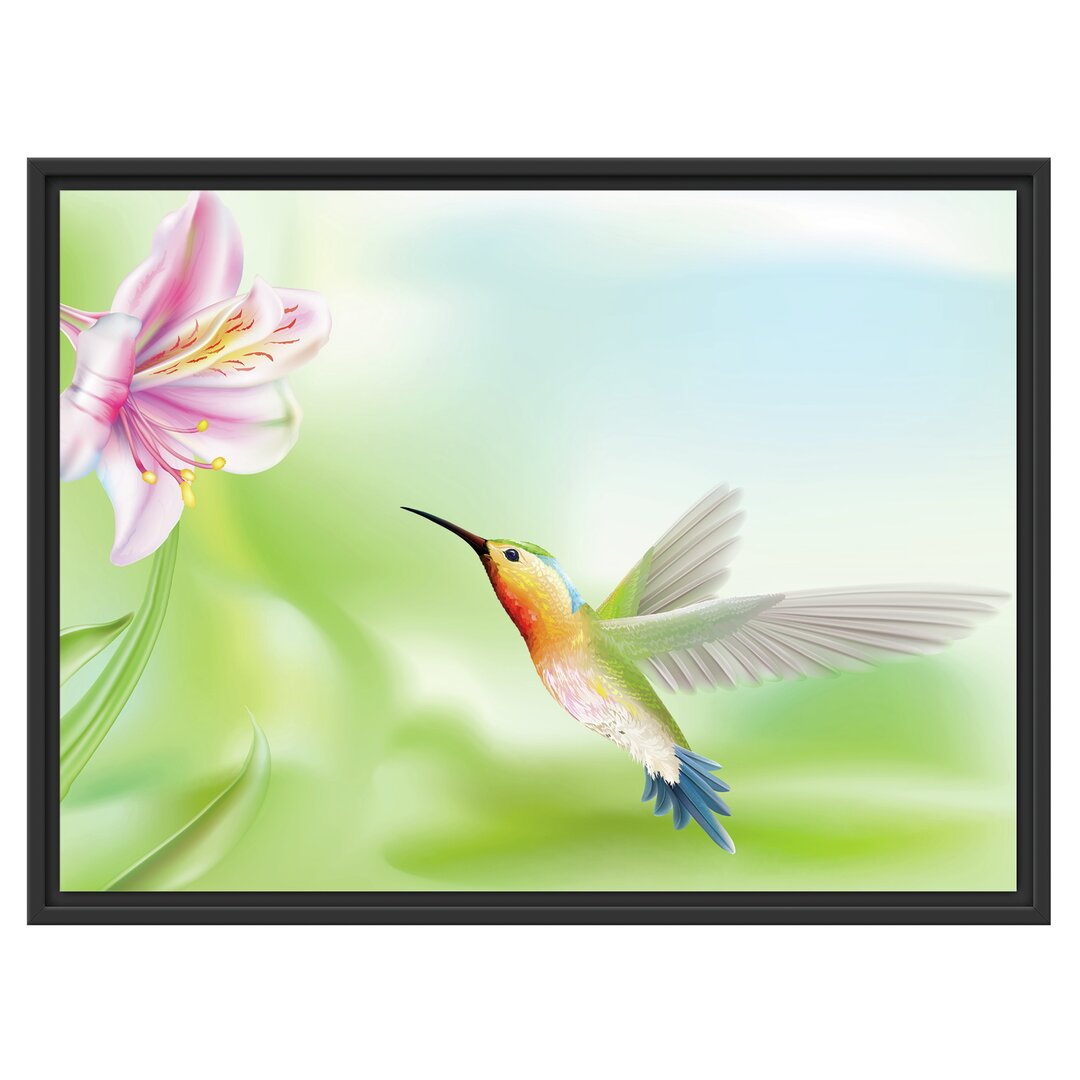 Gerahmtes Wandbild Wunderschöner Kolibri mit Blüte