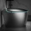Toilette grise pour salle de bain intelligente, action automatique du siège, capteur de pied, fonctionnement moderne de l'eau chaude et de la sécheuse, activation du capteur, économie-125275849