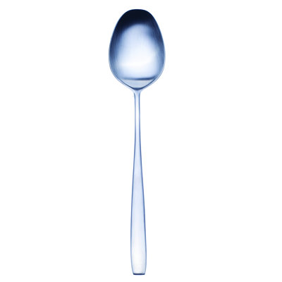 Avanguardia Stainless Steel Serving Spoon