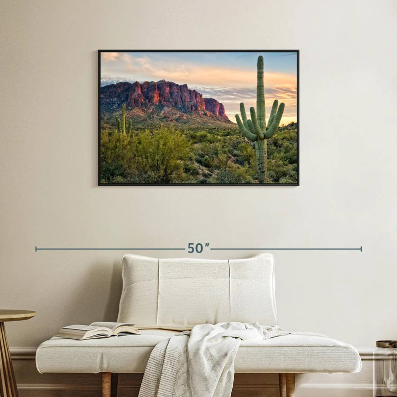 Vue de cactus Alvord II, H 25 po x l 37 po