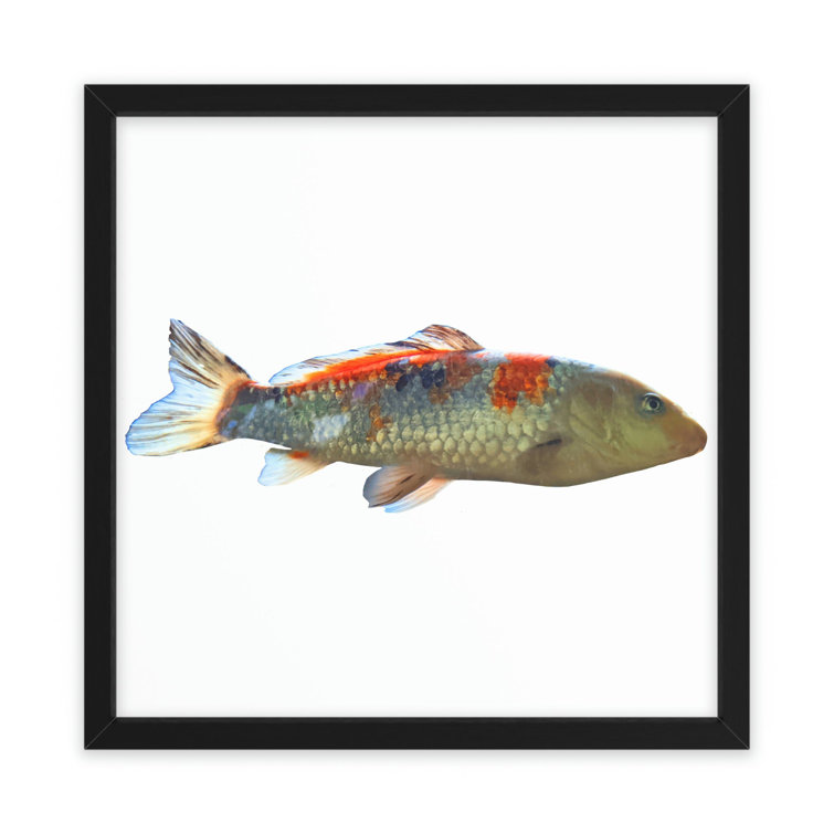 Dovecove Koi Fish Framed On Paper | Wayfair