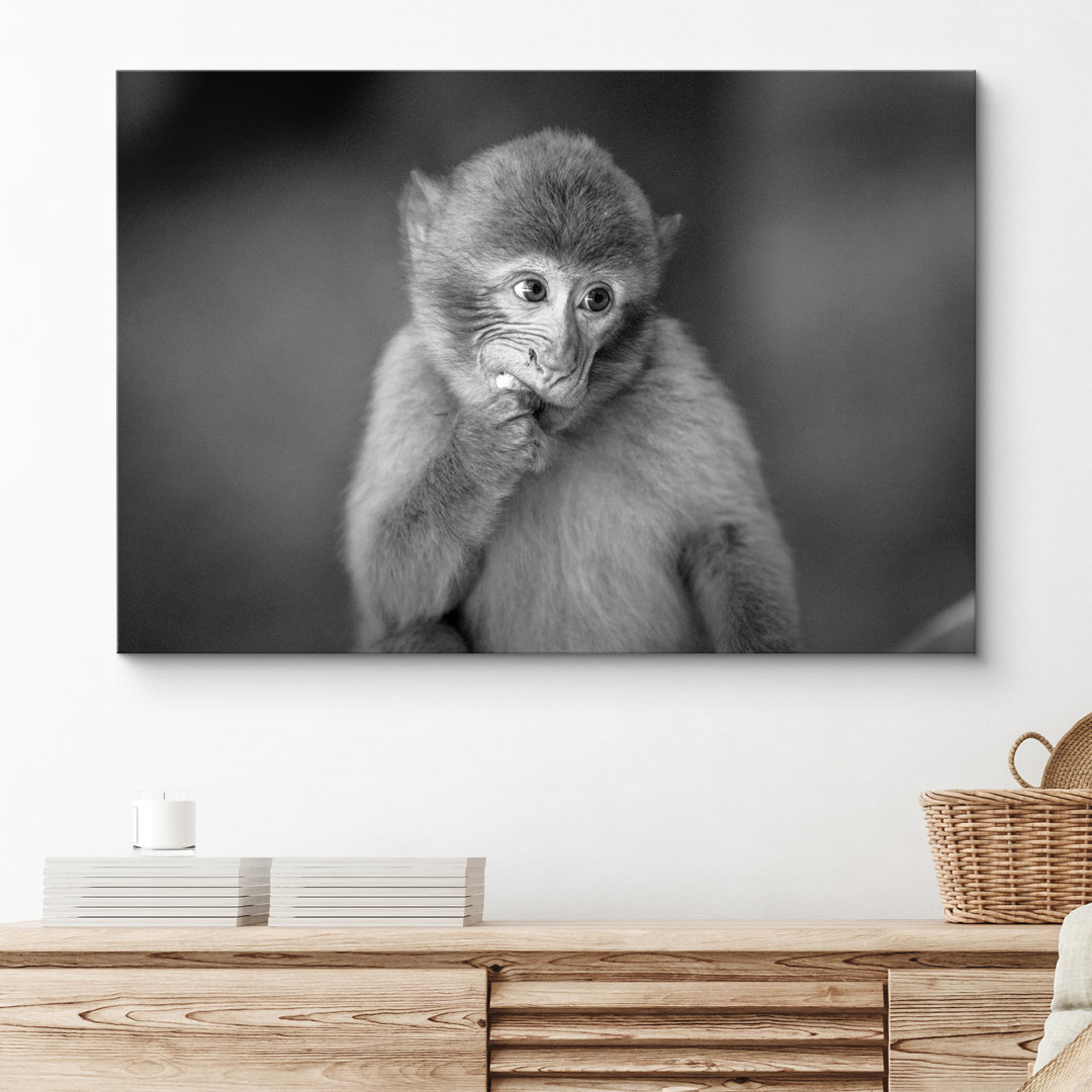 " Black And White Monkey Eating " SIGNLEADER 