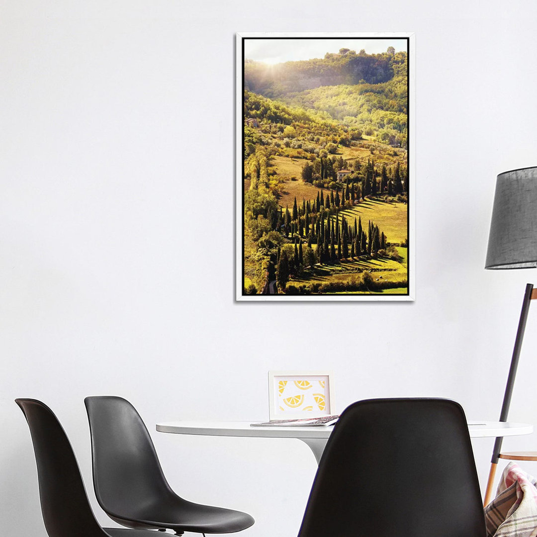 Countryside In Tuscany Italy With Cyprus Trees von Susan Richey - Gallery-Wrapped Canvas Giclée on Canvas