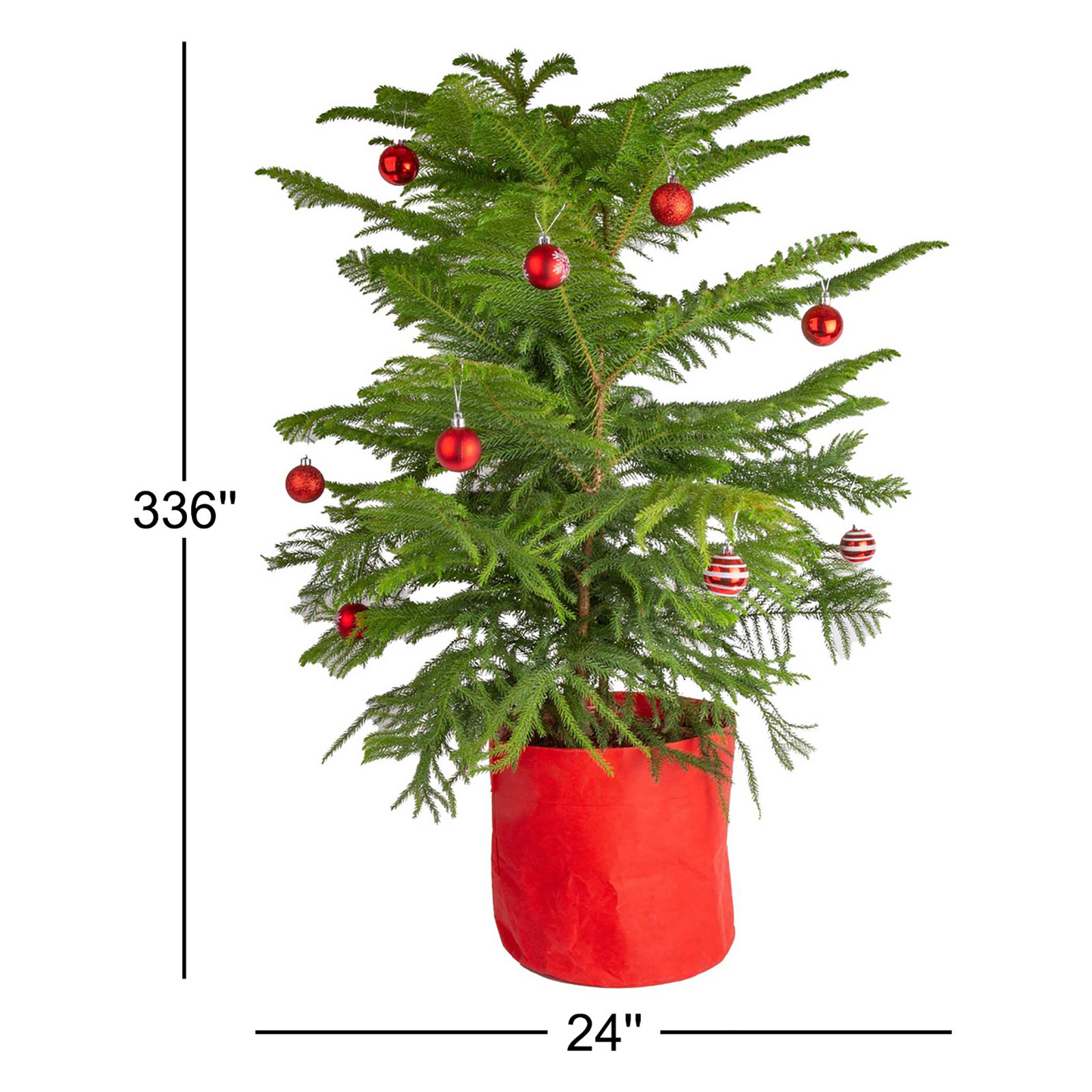 2.3' Pine Christmas Tree