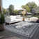 Dynamic Ornamental Indoor / Outdoor Area Rug