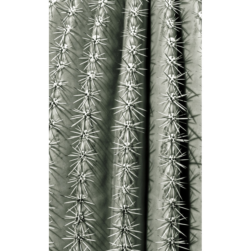 Silver Spikes Grand 2 par Christopher Kennedy - photographie non encadrée sur acrylique