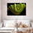 Green Boa Constrictor-107922361
