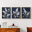 Floral Study  Series  LIV  -Set Of 3 Framed Giclee Prints -Ready to Hang-107253841-107253845