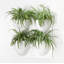 Wall Planter-23555157