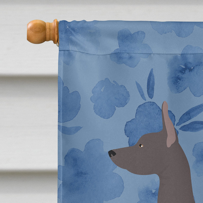 Caniche en polyester à 2 côtés 40 x 28 po standard welcome drapeau maison, Chien nu du Mexique 1