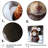 Squirrel With Hat In Snow - Squirrel Animal Wall Art-31727063-204998574