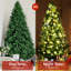 Arbre de Noël vert-1036651601
