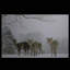 Art sur toile avec petites fibres-193456635