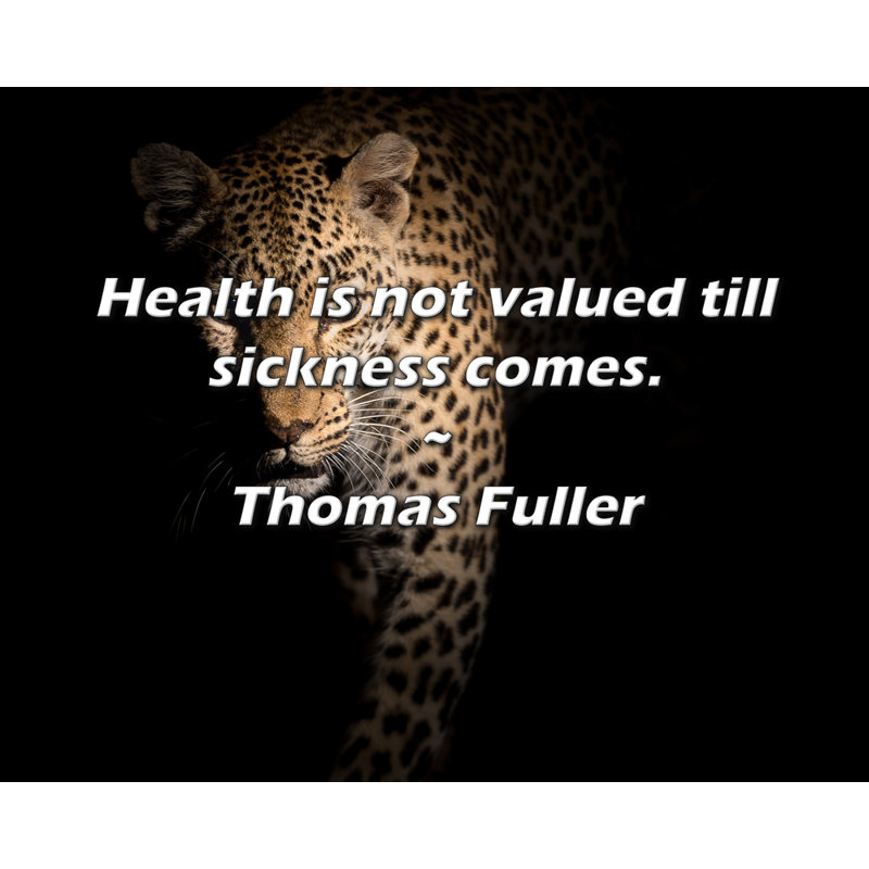 Citation de Thomas Fuller: La santé n'est pas appréciée tant que la maladie ne vient pas., H 26 po x l 32 po