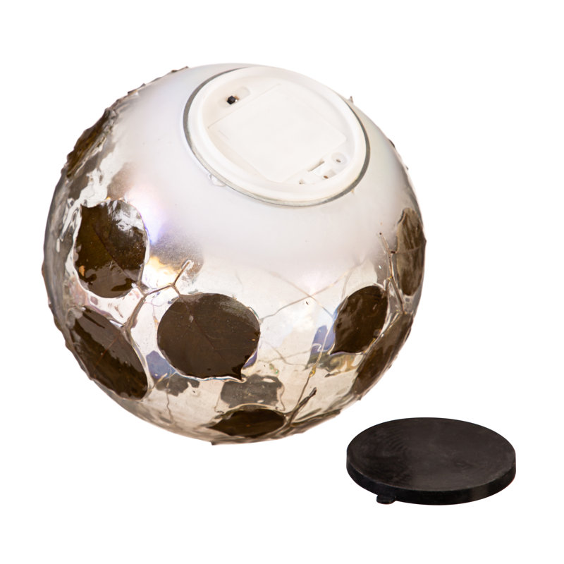 Dried Eucalyptus LED Gazing Ball, 8"H