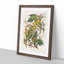 Carolina Parrots by John Audubon - Picture Frame Painting Print-55513798-55513797