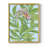 Tropical Shell Ginger I Framed Print - Solid Wood-1211681352