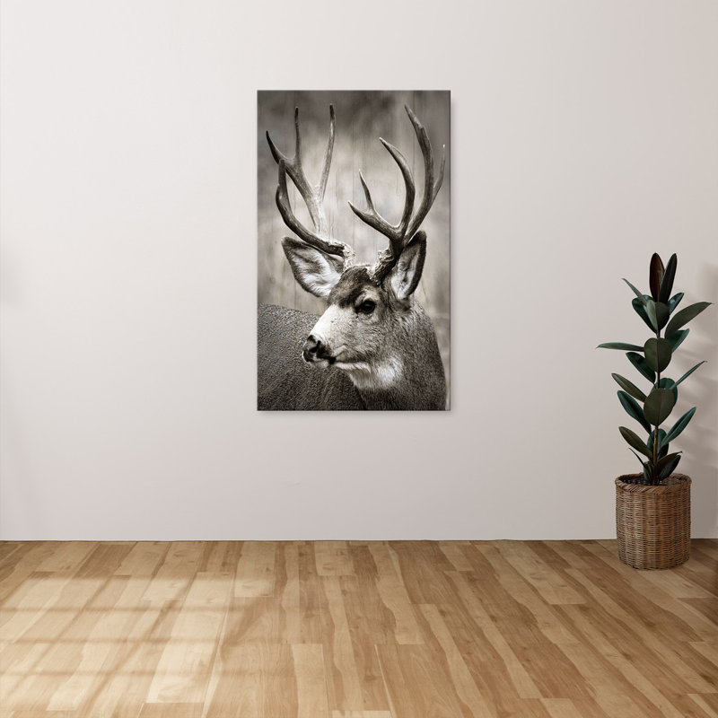 "Focused Buck" par Danita Delimont, reproduction sur toile, H 40 po x l 24 po