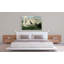 Trumpeter Swan by John Audubon - Wrapped Canvas Painting-1902741494