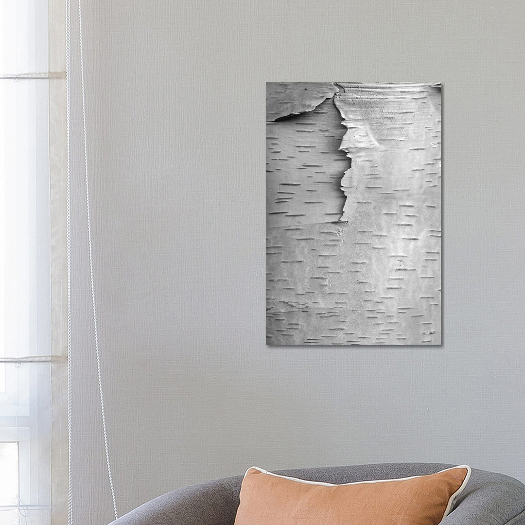 Birke Close Up Of Tree Trunk, North America von Tim Fitzharris - Gallery-Wrapped Canvas Giclée on Canvas