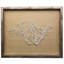 Sealife Print